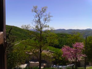 Landschaft verkleinert