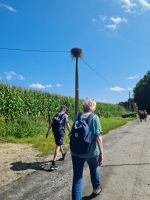 Jakobspilgertag002
